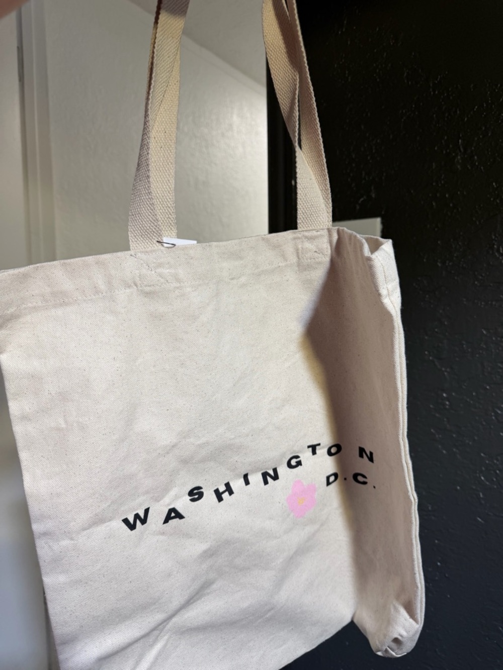 Blank Canvas Washington D.C. Tote Bag in Natural with Pink Accent